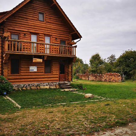 Valea Vistisoarei Villa Vistisoara Екстериор снимка