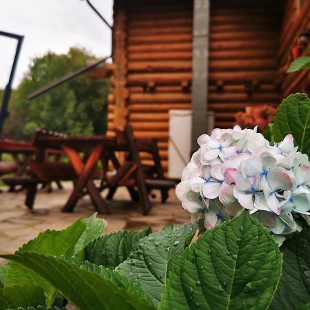 Valea Vistisoarei Villa Vistisoara Екстериор снимка