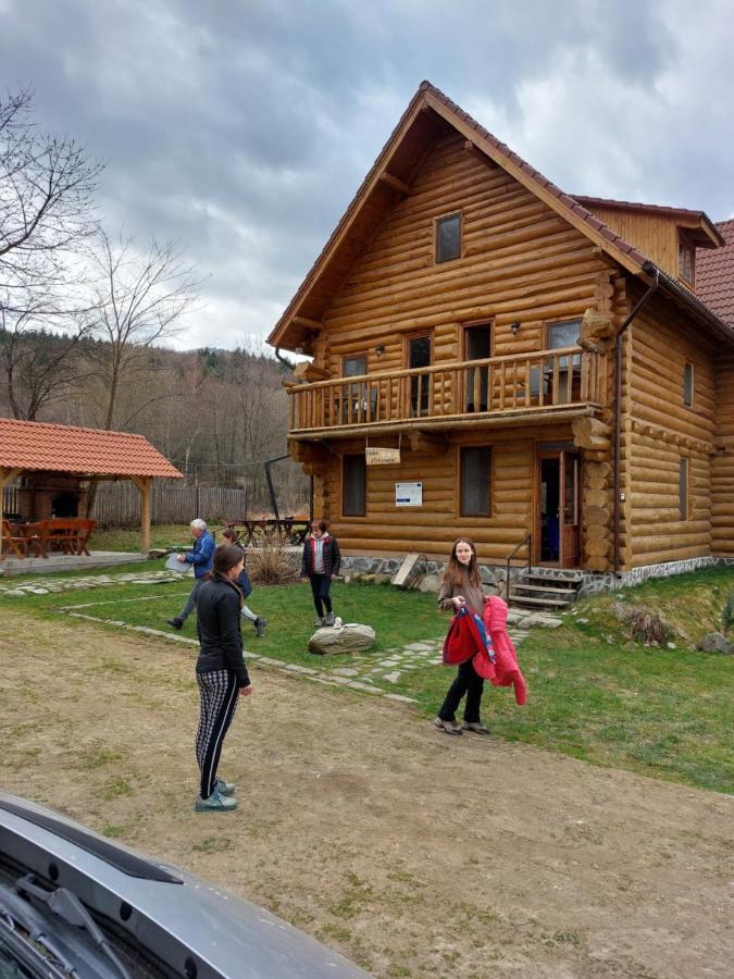 Valea Vistisoarei Villa Vistisoara Екстериор снимка