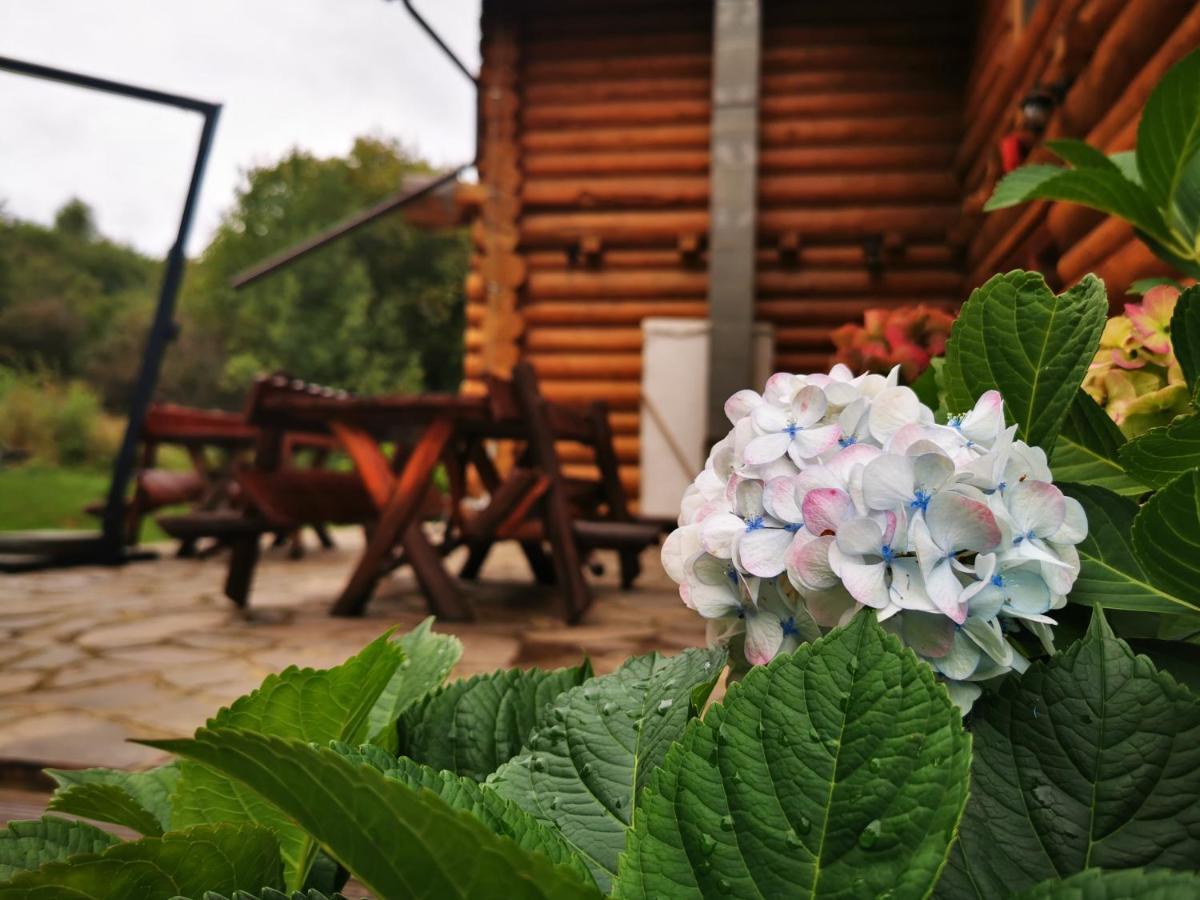 Valea Vistisoarei Villa Vistisoara Екстериор снимка