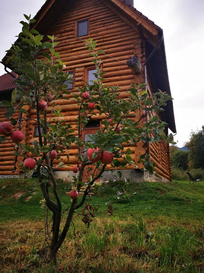 Valea Vistisoarei Villa Vistisoara Екстериор снимка