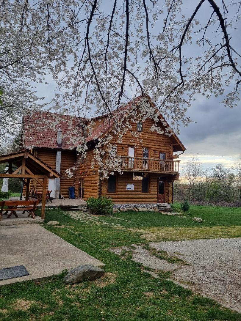 Valea Vistisoarei Villa Vistisoara Екстериор снимка