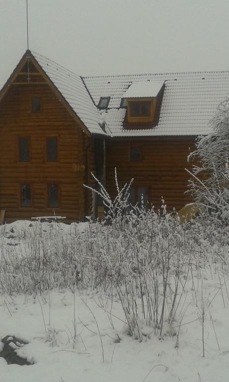 Valea Vistisoarei Villa Vistisoara Екстериор снимка