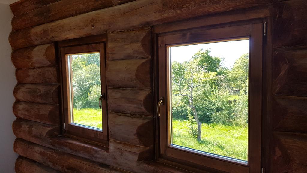 Valea Vistisoarei Villa Vistisoara Екстериор снимка