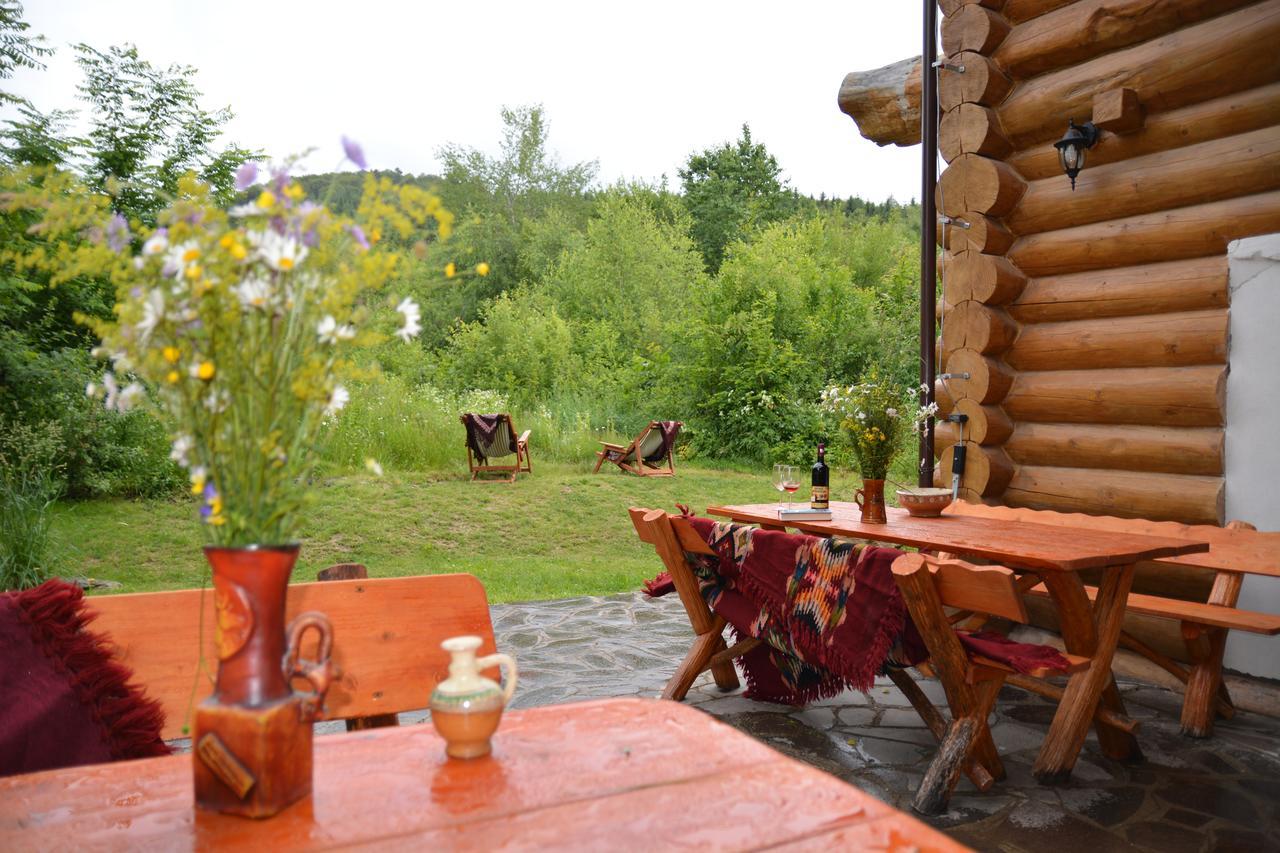 Valea Vistisoarei Villa Vistisoara Екстериор снимка