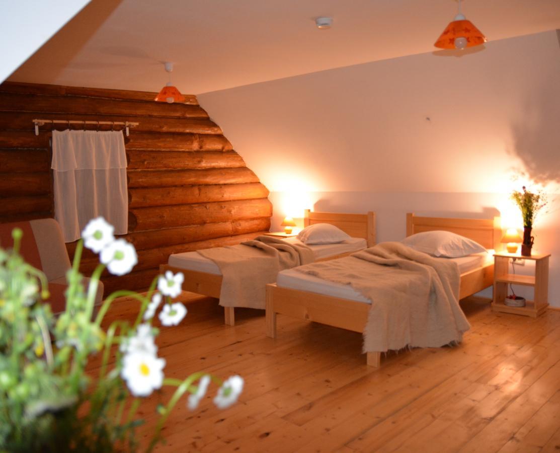 Valea Vistisoarei Villa Vistisoara Екстериор снимка
