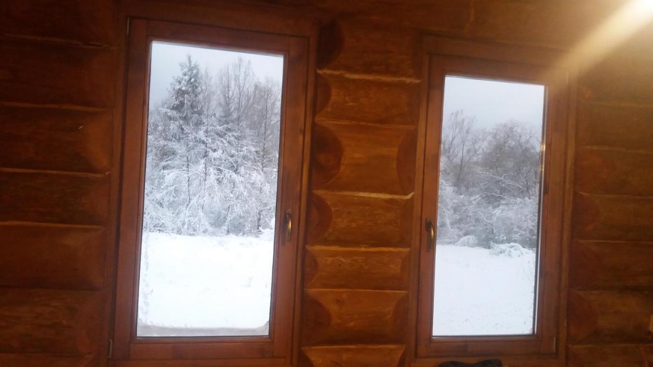 Valea Vistisoarei Villa Vistisoara Екстериор снимка