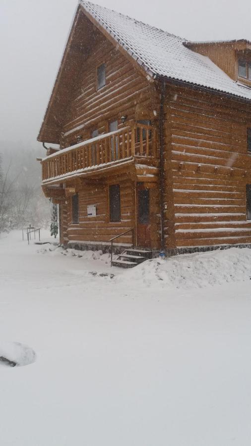 Valea Vistisoarei Villa Vistisoara Екстериор снимка