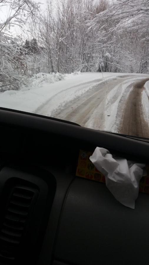Valea Vistisoarei Villa Vistisoara Екстериор снимка