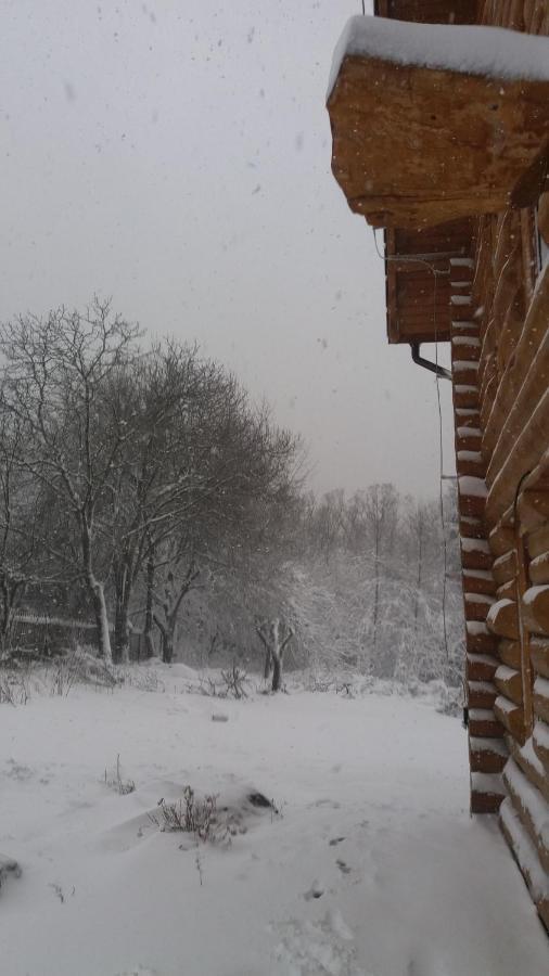 Valea Vistisoarei Villa Vistisoara Екстериор снимка